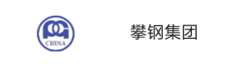 攀鋼集團(tuán)
